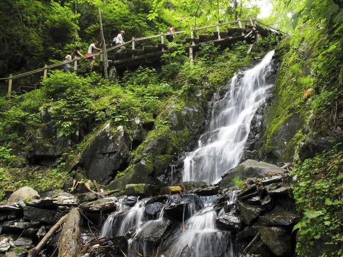 神秘的岛屿